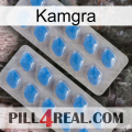 Kamgra 23